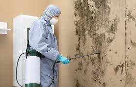 Mold Odor Removal Services in Inver Grove Heights, MN